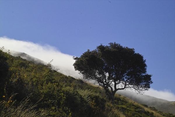 Fog-Rolling-over-Marin-Headlands-CA